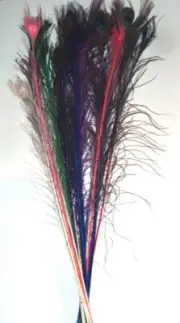 25 Damaged Peacock Eye feathers w/ side Hurl 25-35" Fly Tying Material /Cat Toys