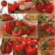 Fresh Tomato Basil Designer Luncheon Napkins - 16 Pieces/Pkg. (fdppo506)