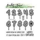 Picket Fence Studios Clear Stamp Set - Blow Out the Candles*