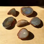 6 Polished Geode Rock Ends Cut Natural Agate Crystal Display Stones Rounded Back
