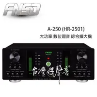 在飛比找PChome24h購物優惠-FNSD 華成 A-250 大功率250W數位迴音卡拉OK擴