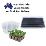 Seedling Tray transparent 12 cell with 1020 deep base trays