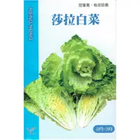 在飛比找蝦皮購物優惠-愛上種子 黃葉半結球白菜(莎拉白菜) 【蔬果種子】興農牌中包