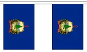 VERMONT U.S. STATE 3 metre BUNTING 10 FLAGS flag USA AMERICA AMERICAN
