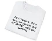 Funny Meme TShirt, HYDRATED While You SUFFER Joke Tee, Gift Shirt