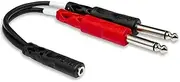 Hosa Stereo Breakout Cable with 3.5 mm TRSF to Dual 1/4 Inch TS Connector