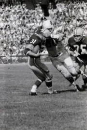 Green Bay Packers Fullback Jim Taylor during the St Louis Cardinal- Old Photo 4