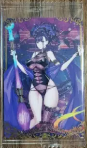 Rider Murasaki Shikibu Fate Grand Order FGO Wafer Card Vol 10 N 16 Bandai NEW
