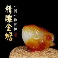 在飛比找Yahoo!奇摩拍賣優惠-紅天然瑪瑙玉髓金蟾手把件原石玉石擺件三腳蟾蜍男士隨身把玩貔貅