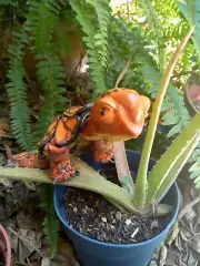 Clay handmade box turtle,decorative turtle, tortoise art figurine, collectible