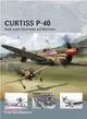 Curtiss P-40 ─ Snub-Nosed Kittyhawks and Warhawks