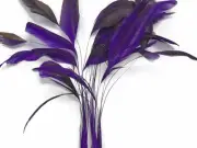 1 Dozen - EGGPLANT Stripped Rooster Coque Tail Feathers Craft Party Supplier