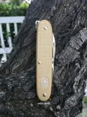 Swiss Army Knife L.E. Champagne Gold Cadet Alox Victorinox 0.2601.L19 New In Box