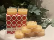 ~8~ Pineapple Cilantro~GOLD CANYON CANDLES TEA LIGHTS FRAGRANCE SCENTS RARE*