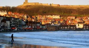 Entire Place In Scarborough. North Bay Beach, Peasolm Park and Centre all 5 minute Walk