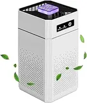 Air Purifier for Home Bedroom, H13 True HEPA & Activated Carbon Filter, 22dB Quiet Sleep Compact Air Cleaner, Air Filter Cleaner for Home, Bedroom, Removes Germs, Smoke(Patented)