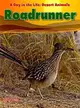 Roadrunner