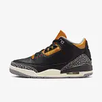 NIKE WMNS AIR JORDAN 3 RETRO [CK9246-067] 女 休閒鞋 運動 球鞋 爆裂紋 黑金