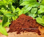 Chipotle Powder 450g Spices Tasty chili Shanez Hickory Smoked Jalapeño