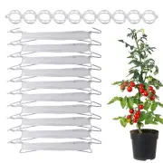 10PCS Tomato Support Hooks String Reusable Plant Holder Hooks Vine Clip