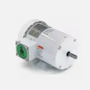 Leeson 119475.00 Washdown Motor, 1 Hp, 143Jm Frame