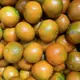 【12月 佛利蒙柑 】成熟時果皮色澤豔麗呈深橙紅色 果實甜度可達12-15度口感很類似茂谷柑 約6~7分甜 3~4分酸