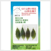 在飛比找momo購物網優惠-【蔬菜工坊】G57.山野小苦瓜(山苦瓜種子2顆)