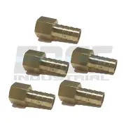 (5 Pack) 1/2 HOSE BARB X 3/8 FEMALE NPT Brass Pipe Fitting NPT WOG Fuel Air