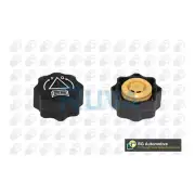 Fits Peugeot 206 307 Partner Expert Citroen Dispatch Ruva Radiator Cap