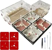 Ants Footsteps Ant Farm Science DIY Terrarium Kit Care for Live Ants Ant Habitat with Water Tower Nurturing Room and Comprehensive Observation
