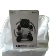 Cady Wile Brand New In Box Records Voice Intelligence Voice Interaction