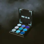 AUTHENTIC BH COSMETICS " SUB-ZERO " Eyeshadows palette BNIB Free Postage