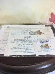 Cherished Teddies Wizard of OZ Adoption Papers Only 1999 NEW