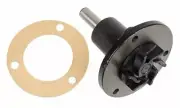 830691M91 Water Pump Fits Massey Ferguson With Continental Gas TO35 135 150
