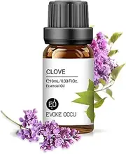 Wahdawn Essential Oils Natural Pure Aromatherapy Essential Oil Fragrances Diffuser 10ml, Pack of 3 (Clove)