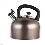 Stainless SteeKettleKettle, Pot, Coffee Pot, Washable teapot (Color : B, Size : 4L)