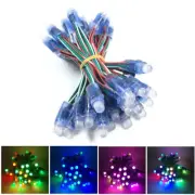 WS2811 pixel module 50/500PCS string digital RGB full color waterproof IP68 12V
