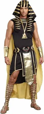 Egyptian Pharaoh King of Egypt Adult Costume. Halloween Costume Size Large