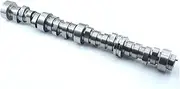 Camshaft Assembly Engine Eccentric Shaft 12612273 12583227 Compatible with Cadillac Escalade Hummer H2