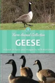 Geese by M/N Martinez (English) Paperback Book