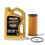 Ryco Oil Filter 5L APX5W40 Engine Oil Service Kit for BMW 118i 120i 125i F20 F21