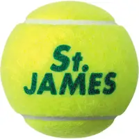 在飛比找蝦皮購物優惠-DUNLOP 鄧祿普 硬式 網球 聖詹姆斯壓力杯 4個裝 S