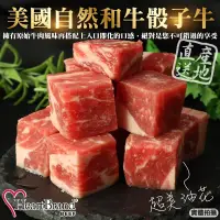 在飛比找PChome24h購物優惠-【HeartBrand】美國自然和牛骰子牛(5包_100g/