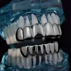 Black Grillz Set Top 6 & Bottom Six Teeth Slugs Gunmetal Hip Hop Tooth Grills