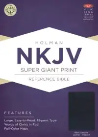 在飛比找博客來優惠-Holy Bible: Nkjv Super Giant P