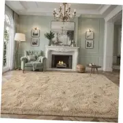 Nuttumico Fluffy Beige 8x10 ft Large Area Rugs for Living Room, Big Shaggy