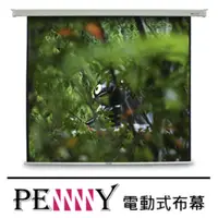 在飛比找松果購物優惠-PENNY PS-100(1:1)方型電動幕 (10折)