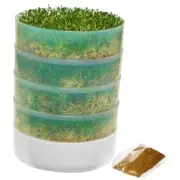 VKP Brands 4-Tray Sprouter