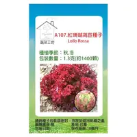 在飛比找momo購物網優惠-【蔬菜工坊】A107.紅珊瑚萵苣種子(Lollo Rossa