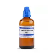 SBL SAMBUCUS CANADENSIS 200C 100 ML